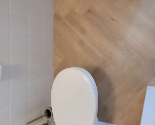 PVC vloer Assen toilet visgraat motief