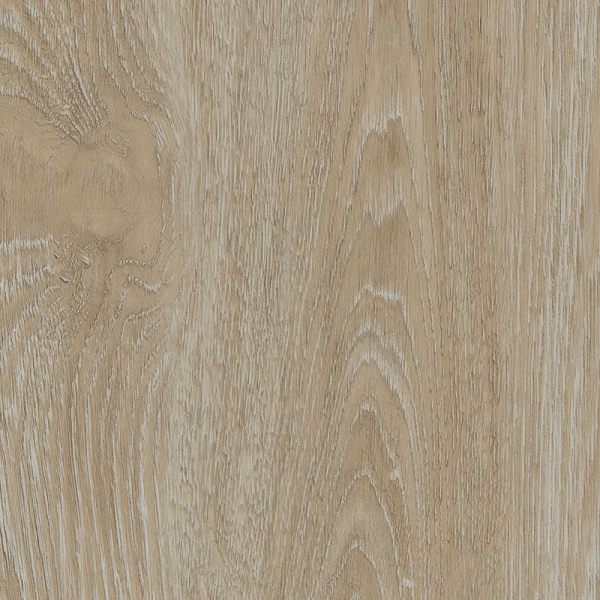 Zelfkl. rozet (17 mm) Scarlet Oak beige (10 st.)