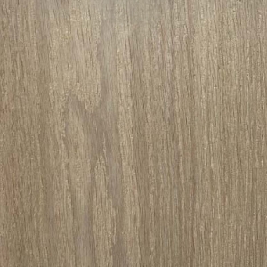 Plankon PL Arkemheen